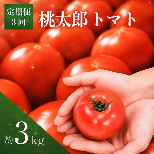 【2027年2月~発送】定期便 3回 トマト 3kg とまと  桃太郎トマト 野菜 果物 やさい 産地直送 農家直送