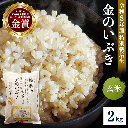令和8年産米 冷めても美味しい玄米 特別栽培米 金のいぶき 2kg 玄米 米 農家直送 受賞歴多数 ＼自然由来の漢方栽培/ ふるさと 人気 ランキング[渡部 浩見][B2107]