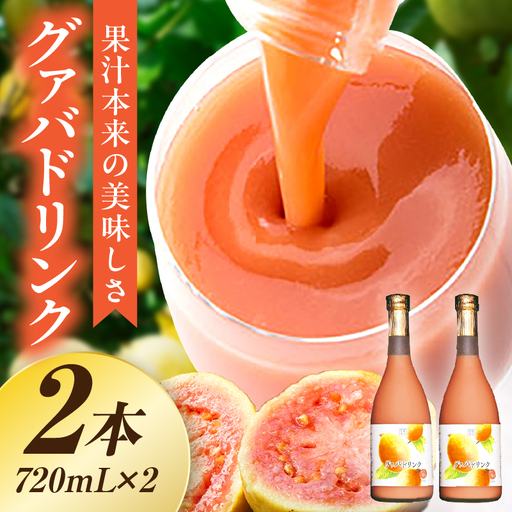 驚きの果実感! グァバドリンク2本セット (720ml×2本)