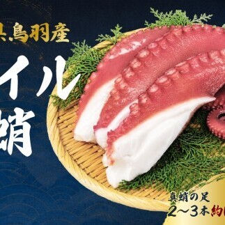 20-87ボイルタコ足(冷凍)