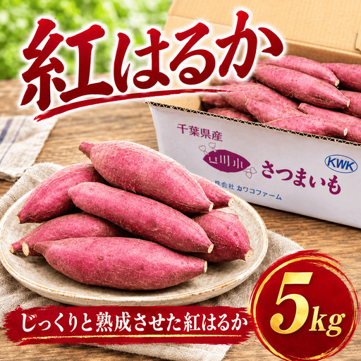 紅はるか 5kg さつまいも[紅はるか]訳あり
