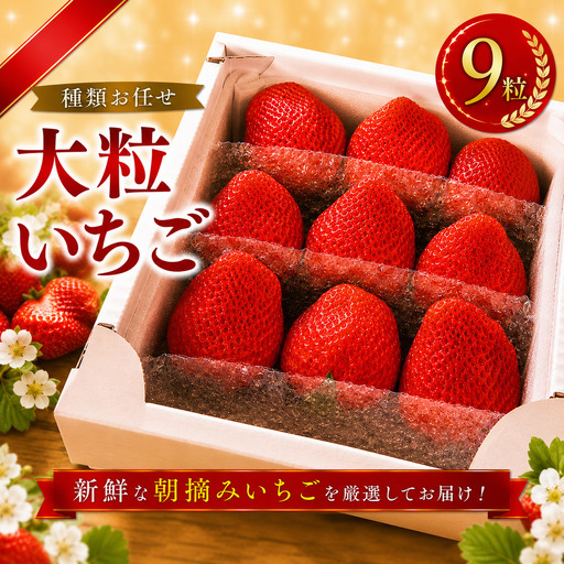 大粒 いちご 9粒 種類お任せ 旬 [先行予約 1月から発送]