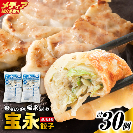 手包み餃子 ぎょうざの宝永 宝永餃子30個セット（宝永餃子15個入×2袋） T004-001-02 惣菜 総菜 餃子