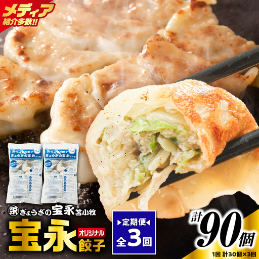 【定期便・全3回 毎月】手包み餃子 ぎょうざの宝永 宝永餃子30個セット（宝永餃子15個入×2袋） T004-T01-02-02 定期便 定期 惣菜 総菜 餃子