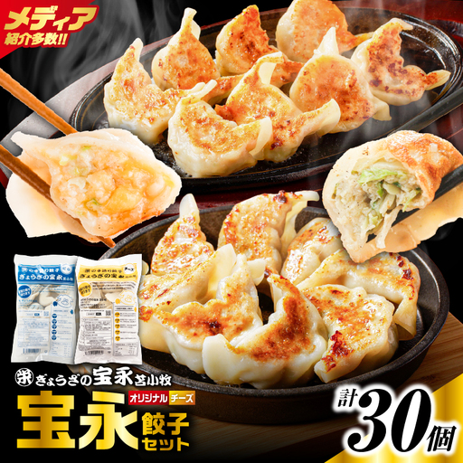 手包み餃子 ぎょうざの宝永 チーズ餃子30個セット(宝永餃子15個入×1袋・チーズ餃子15個入×1袋) T004-002-02 惣菜 総菜 餃子