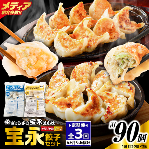 【定期便・全3回 4ヶ月毎】手包み餃子 ぎょうざの宝永 チーズ餃子30個セット（宝永餃子15個入×1袋・チーズ餃子15個入×1袋） T004-T02-02-01 定期便 定期 惣菜 総菜 餃子