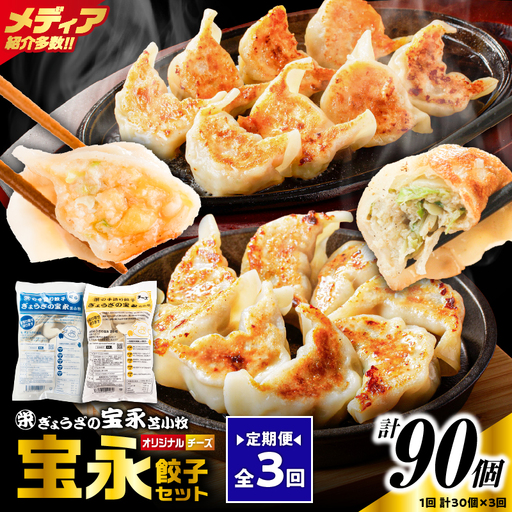 【定期便・全3回 毎月】手包み餃子 ぎょうざの宝永 チーズ餃子30個セット（宝永餃子15個入×1袋・チーズ餃子15個入×1袋） T004-T02-02-02 定期便 定期 惣菜 総菜 餃子