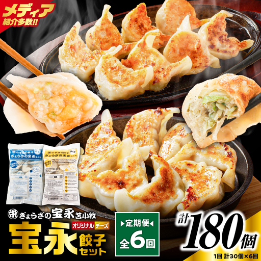 【定期便・全6回 毎月】手包み餃子 ぎょうざの宝永 チーズ餃子30個セット（宝永餃子15個入×1袋・チーズ餃子15個入×1袋） T004-T02-02-04 定期便 定期 惣菜 総菜 餃子
