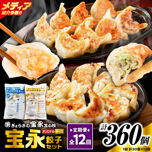 【定期便・全12回 毎月】手包み餃子 ぎょうざの宝永 チーズ餃子30個セット（宝永餃子15個入×1袋・チーズ餃子15個入×1袋） T004-T02-02-05 定期便 定期 惣菜 総菜 餃子