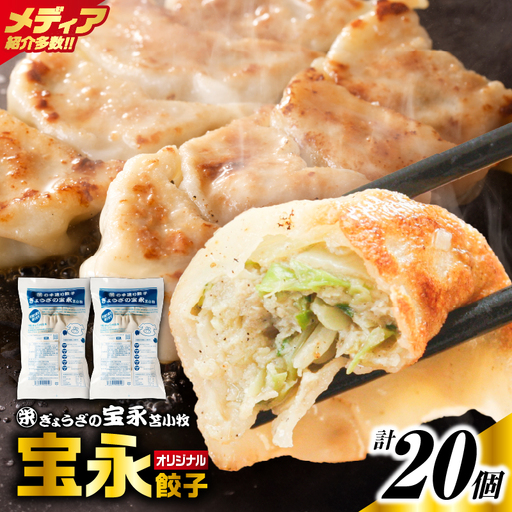 手包み餃子 ぎょうざの宝永 宝永餃子20個セット(宝永餃子10個入×2袋) T004-003-02 惣菜 総菜 餃子