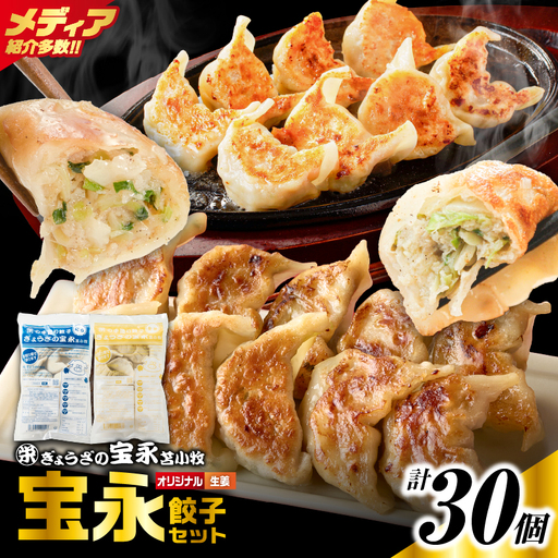 手包み餃子 ぎょうざの宝永 生姜餃子30個セット（宝永餃子15個入×1袋・生姜餃子15個入×1袋） T004-005-01 惣菜 総菜 餃子