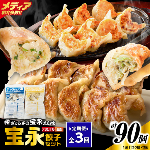 【定期便・全3回 毎月】手包み餃子 ぎょうざの宝永 生姜餃子30個セット（宝永餃子15個入×1袋・生姜餃子15個入×1袋） T004-T05-01-02 定期便 定期 惣菜 総菜 餃子