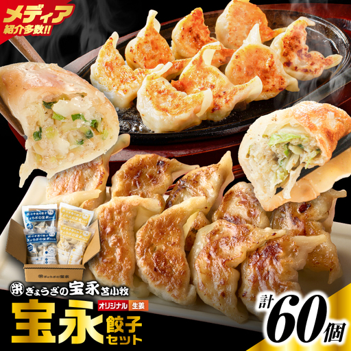 手包み餃子 ぎょうざの宝永 生姜餃子60個セット（宝永餃子15個入×2袋・生姜餃子15個入×2袋） T004-005-02 惣菜 総菜 餃子