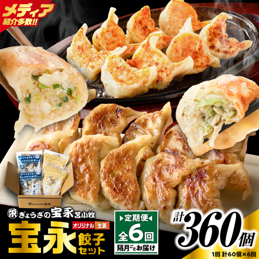 【定期便・全6回 隔月】手包み餃子 ぎょうざの宝永 生姜餃子60個セット（宝永餃子15個入×2袋・生姜餃子15個入×2袋） T004-T05-02-03 定期便 定期 惣菜 総菜 餃子 