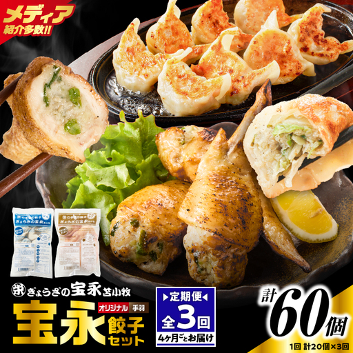 【定期便・全3回 4ヶ月毎】手包み餃子 ぎょうざの宝永 手羽餃子20個セット（宝永餃子15個入×1袋・手羽餃子5個入×1袋） T004-T06-01-01 定期便 定期 惣菜 総菜 餃子