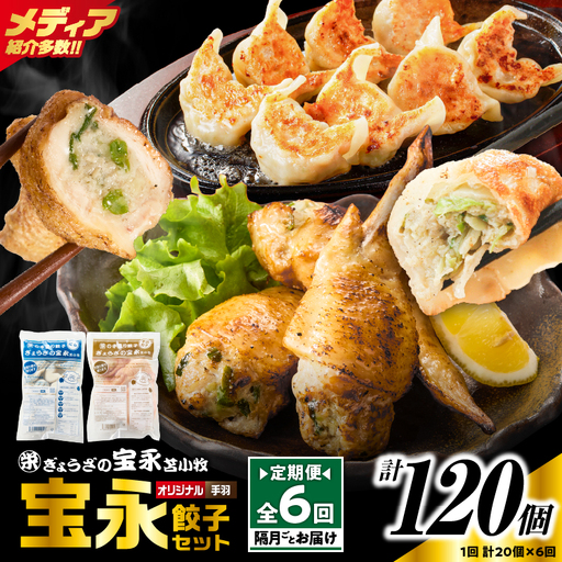 【定期便・全6回 隔月】手包み餃子 ぎょうざの宝永 手羽餃子20個セット（宝永餃子15個入×1袋・手羽餃子5個入×1袋） T004-T06-01-03 定期便 定期 惣菜 総菜 餃子