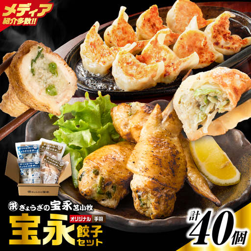 手包み餃子 ぎょうざの宝永 手羽餃子40個セット（宝永餃子15個入×2袋・手羽餃子5個入×2袋） T004-006-02 惣菜 総菜 餃子