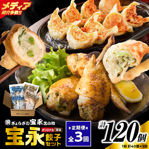 【定期便・全3回 毎月】手包み餃子 ぎょうざの宝永 手羽餃子40個セット（宝永餃子15個入×2袋・手羽餃子5個入×2袋） T004-T06-02-02 定期便 定期 惣菜 総菜 餃子 