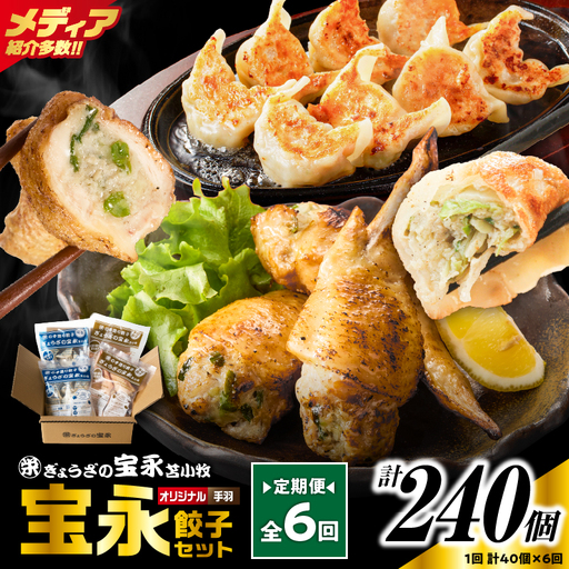【定期便・全6回 毎月】手包み餃子 ぎょうざの宝永 手羽餃子40個セット（宝永餃子15個入×2袋・手羽餃子5個入×2袋） T004-T06-02-04 定期便 定期 惣菜 総菜 餃子