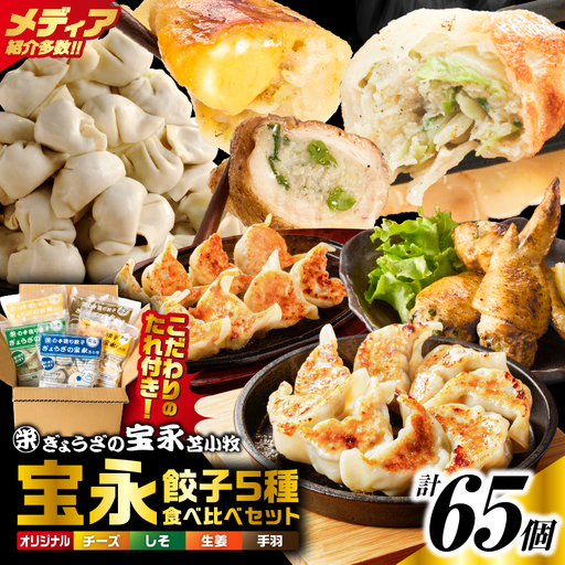 手包み餃子 ぎょうざの宝永 5種食べ比べセット(65個入) T004-007 惣菜 総菜 餃子