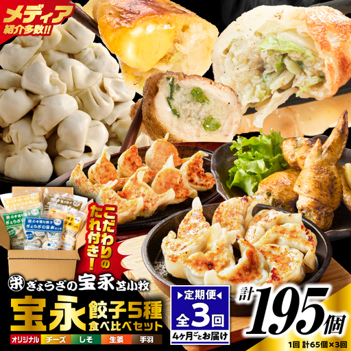 [定期便・全3回 4ヶ月毎]手包み餃子 ぎょうざの宝永 5種食べ比べセット(65個入) T004-T07-01 定期便 定期 惣菜 総菜 餃子
