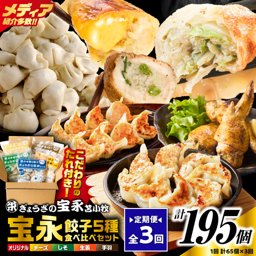 [定期便・全3回 毎月]手包み餃子 ぎょうざの宝永 5種食べ比べセット(65個入) T004-T07-02 定期便 定期 惣菜 総菜 餃子