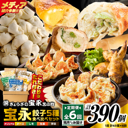 [定期便・全6回 隔月]手包み餃子 ぎょうざの宝永 5種食べ比べセット(65個入) T004-T07-03 定期便 定期 惣菜 総菜 餃子