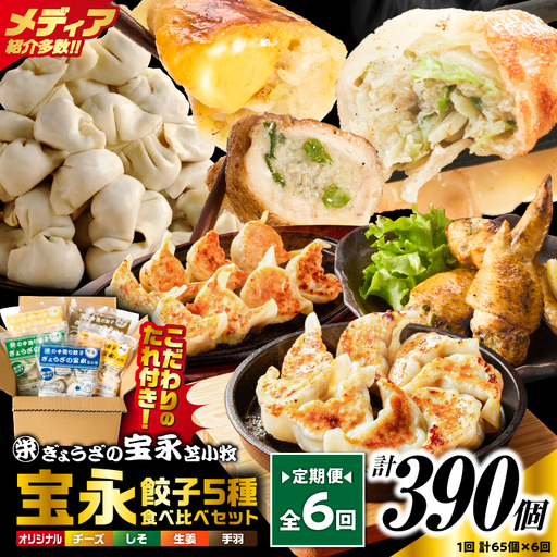 【定期便・全6回 毎月】手包み餃子 ぎょうざの宝永 5種食べ比べセット（65個入） T004-T07-04 定期便 定期 惣菜 総菜 餃子