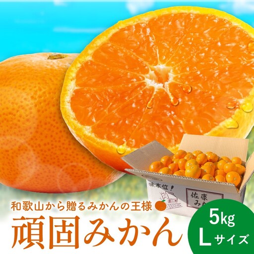 和歌山県天田のこだわり頑固みかん[秀品] 5kg サイズ指定可能(S・M・L)Lサイズ[1205_L]