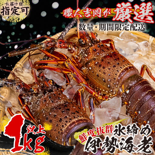 [伊勢海老] 氷締め伊勢海老 1kg以上