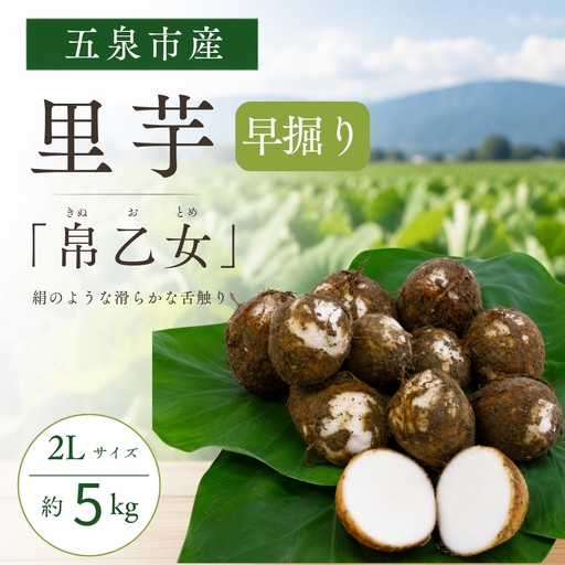 さといも[秀品]とろける食感の早掘り里芋 帛乙女(きぬおとめ)2L 5kg | 五泉ブランド野菜 里芋 サトイモ 贈答用 新潟県 五泉市