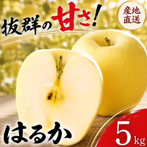 [期間限定] りんご はるか 5kg 12月上旬~発送 訳あり 先行予約 ふじむら農園 fujimura008