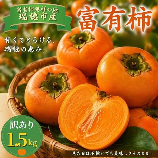 富有柿 訳あり 1.5kg | 柿 ※2026年11月〜発送