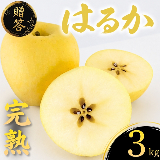 [12月上旬~発送] 贈答用 りんご はるか 3kg 先行予約 ふじむら農園 fujimura009