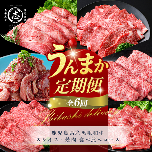 [定期便全6回]鹿児島県産黒毛和牛スライス・焼肉 食べ比べコース!志布志うんまか定期便 牛肉 赤身 モモ ウデ 肩ロース 霜降り すき焼き 炒め物 国産 肉 バラエティ セット t