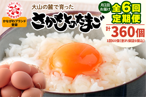 [定期便/6ヶ月×月1回] 坂本養鶏 大山の麓で育った さかもとのたまご 60個 (54個+割れ保証6個) 合計360個