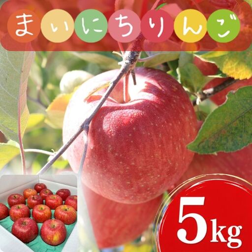 [12月上旬~発送] りんご サンフジ 5kg 先行予約 訳あり 家庭用 ふじむら農園 fujimura005