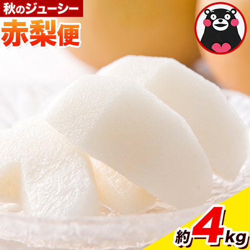 梨 荒尾梨 4kg あきづき または 新高