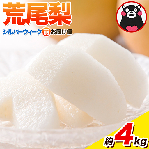 梨 9/1~9/15発送 荒尾梨 シルバーウィーク前お届け便 4kg