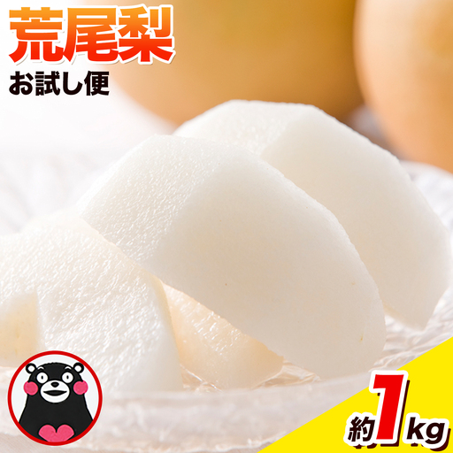 梨 荒尾梨 1kg 旬の品種