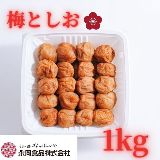 紀州南高梅使用 梅と塩 白干し 1kg 塩分約19％ 【ngao023】