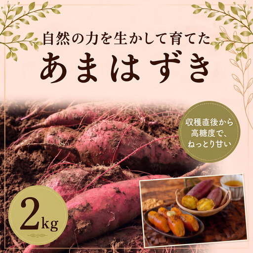 芋 さつまいも あまはずき 2kg
