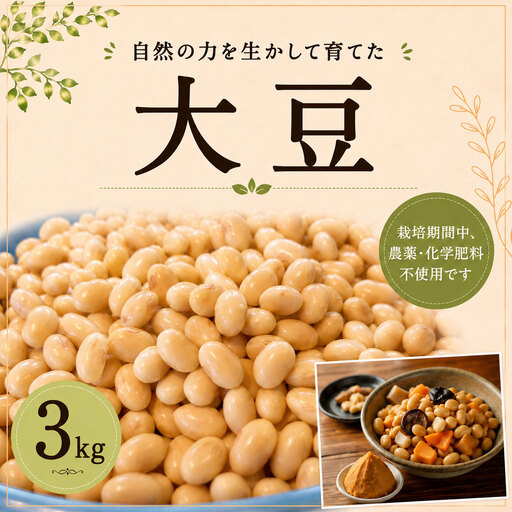 豆 大豆 3kg だいず