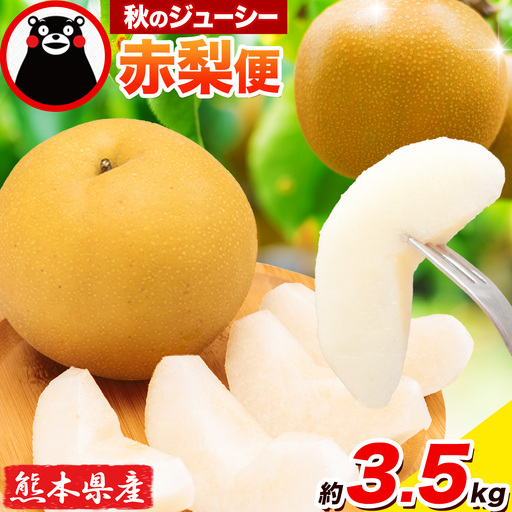 梨 くまもと梨 あきづき または 新高 3.5kg