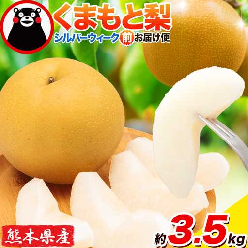 梨 くまもと梨 シルバーウィーク前お届け便 3.5kg