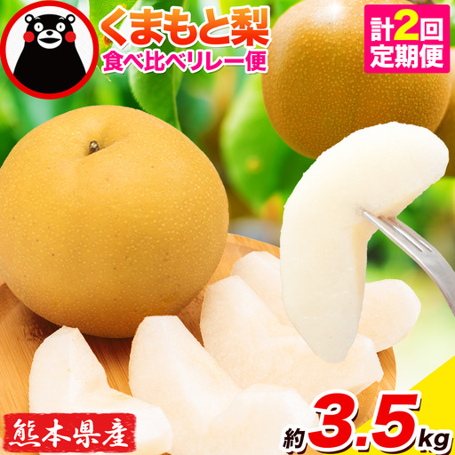 梨 くまもと梨 定期便 3.5kg フルーツ