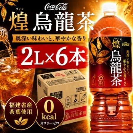 日本コカ・コーラ 煌(ファン) 烏龍茶 2L×6本 ペットボトル ケース【1770343】