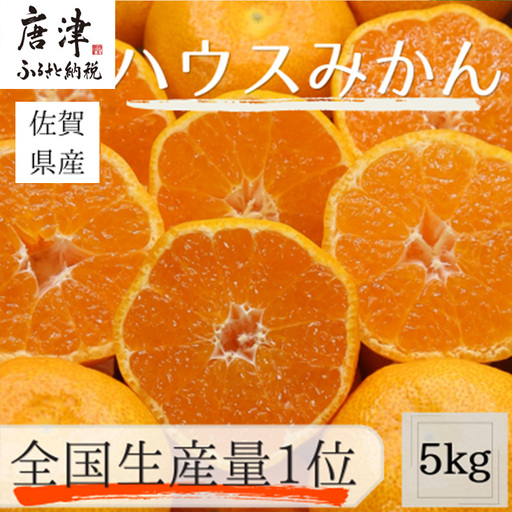 『先行予約』【令和9年7月上旬より順次発送】【全国出荷量1位】佐賀県ハウスみかん 5kg 高級甘熟みかん 果物フルーツ 柑橘