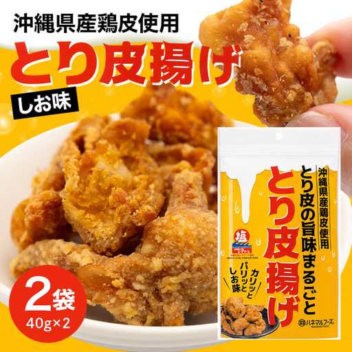 とり皮の旨味まるごととり皮揚げ2袋 UA03-001