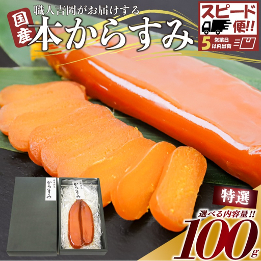 [ からすみ ] [スピード便]特選品からすみ 100g